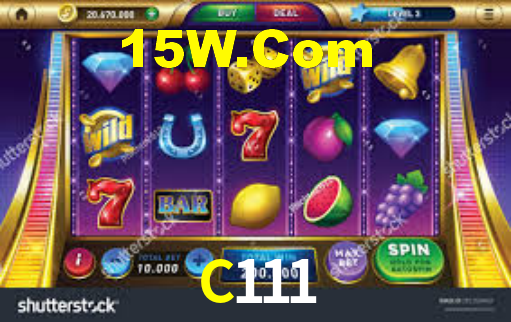 Premium Interface C111
